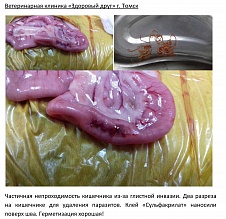 Герметизация шва на кишечнике.