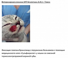 Фиксация повязки Бранолинд.